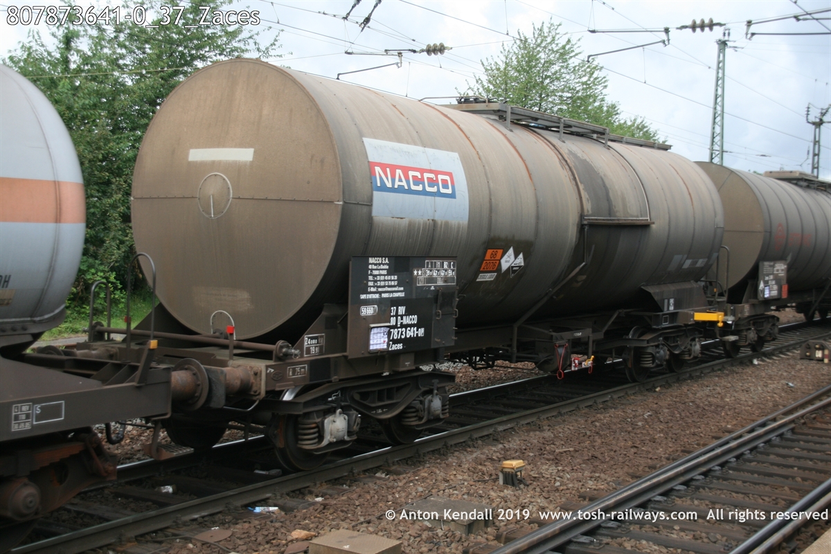 807873641-0_37_Zaces.JPG